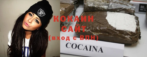 дживик Абаза