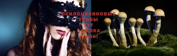 эйфоретик Алзамай
