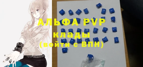 ПСИЛОЦИБИНОВЫЕ ГРИБЫ Алагир